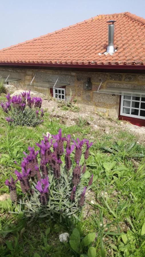 Casa Do Rancho - Turismo Rural Paranhos  Eksteriør bilde